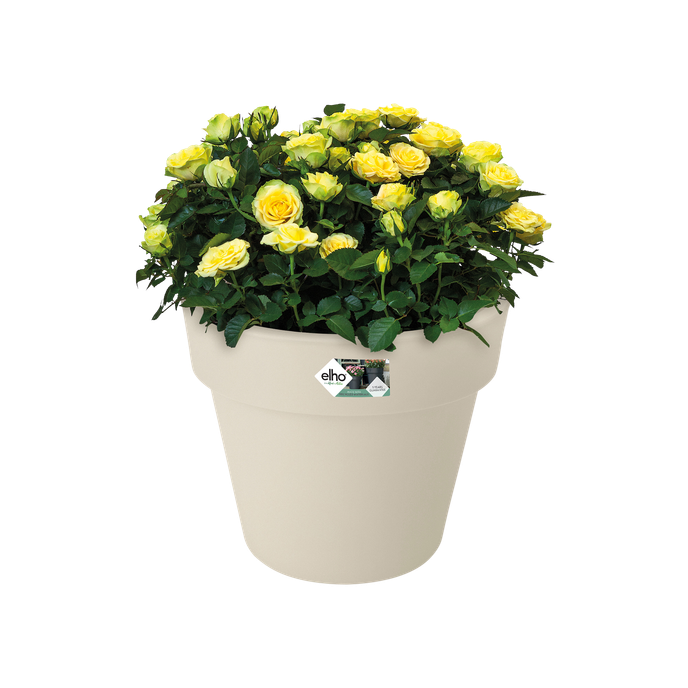 green basics top planter 23cm katoen wit